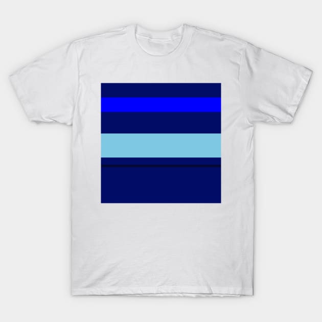 A supreme harmonization of Sky Blue, Blue, Darkblue and Dark Navy stripes. T-Shirt by Sociable Stripes